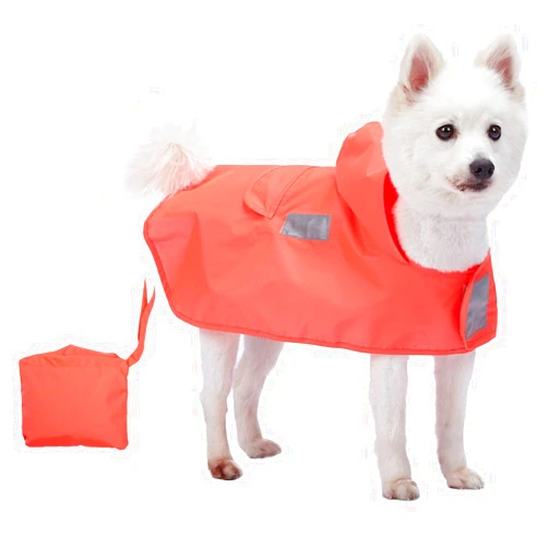 Blueberry Pet 4 Colors 14