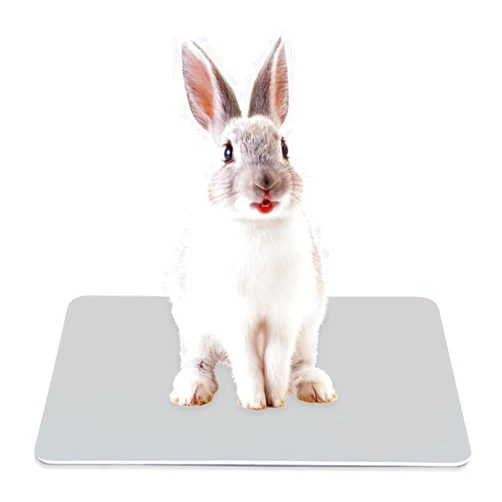 WELLYUK Aluminum Pet Cooling Pad for Bunny, Cat, Rabbit, Hamster, Guinea Pig and Other Small Pets, 11.8