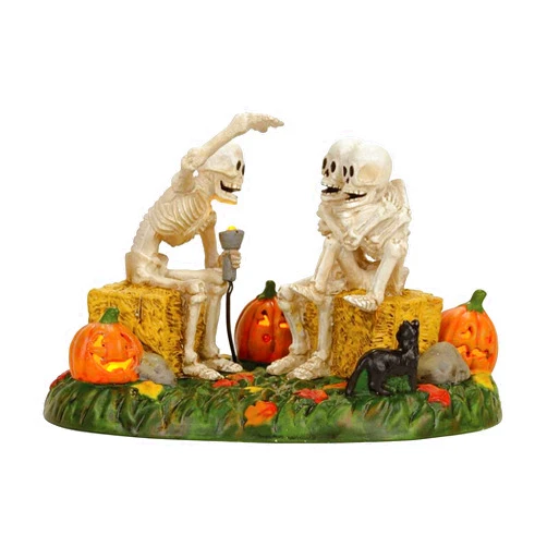 Department 56 Village Halloween Scary Skeleton Stories Accessory Figurine