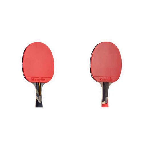 STIGA Raptor Performance Ping Pong Paddle - 7-ply Carbon Fiber Blade - 2mm Premiere Sponge for a Larger Sweet Spot - Flared Handle for Increased Control - Performance Table Tennis Racket