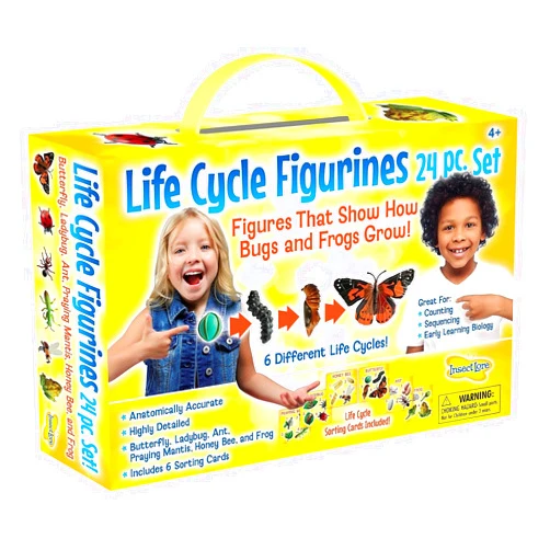 Insect Lore's Life Cycle Figurines 24 Pc Set | Butterfly, Ladybug, Frog, Honey Bee, Ant and Praying Mantis | 4 Stages Per Insect, 24 Figurines Total