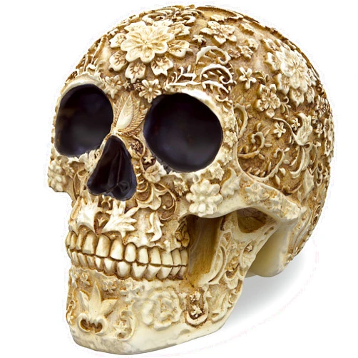 READAEER Life Size Skull Resin Floral Human Skull Model Adult Head Bone Model Day of The Dead Décor