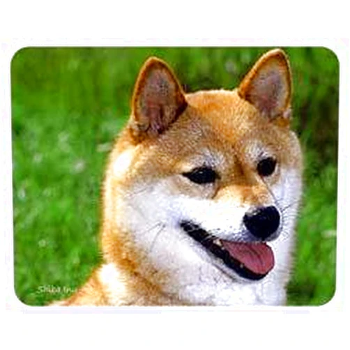 Lumalack Shiba Inu Coasters