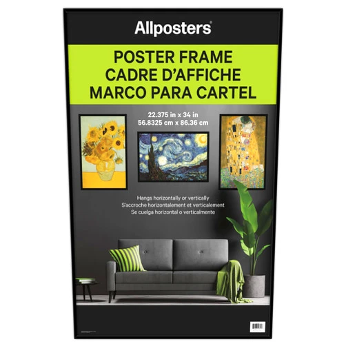 Trends International Poster Frame - Black (22.375