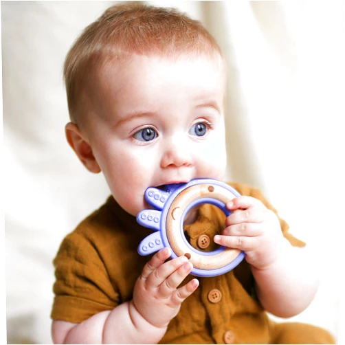 Nuby Natural Wood & Silicone Teether: Octopus, 3M+, Purple (80804)