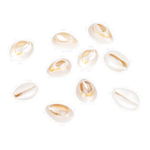 Craftdady 50Pcs No Hole Natural Cowrie Beach Seashells 18-20x13-14mm Ocean Summer Jewelry Craft Making Natural Spiral Shell Bead Charms for Vase Filler Fish Tank Home Party Wedding Decoration