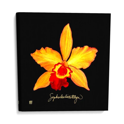 Canvas Lab Canvas Wall Art Decor Vivid Orchid VI by the Artist Ginny Joyner – Size: 18 x 18 in - Art subject: Botanical,Floral,Nature,Tropical,Food,Contemporary