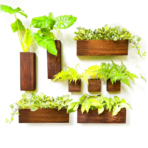 LáLáGreen LaLaGreen Wood Planter Box for Plants (8 Pack) Wooden Wall Hanging Planters for Indoor Plant Holder Vase for Dried Flowers, Modern Country Rustic Wall Decor Living Room Bedroom Office Home Garden