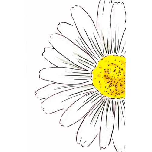Rosa D'Avino TRACCE QUADERNI DA COLLEZIONARE: Libera la tua creatività! Un quaderno originale per scrivere, disegnare e appuntare ogni tuo pensiero. (FLOWERS) (Italian Edition)