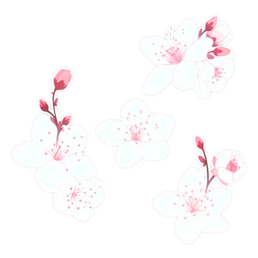 SMJ Designs Cherry Blossom Sticker Vinyl Waterproof Sticker Decal Car Laptop Wall Window Bumper Sticker 5