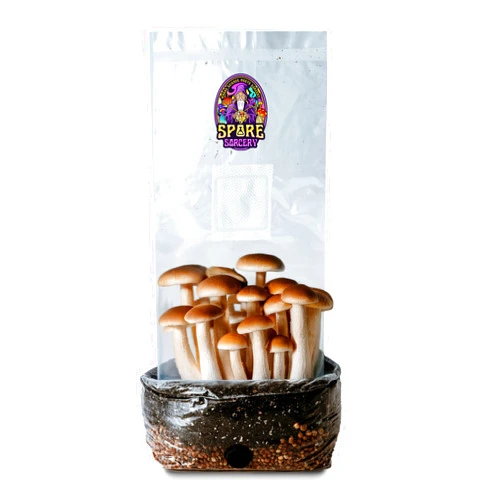 SPORE SORCERY Mushroom Growing Kit | 2Lb All-in-One Mushroom Grow Kit with Proprietary Nutrients | Grows Like Magic | Mycology Supplies Kit with Injection Port | High Yielding | Spores Not Included