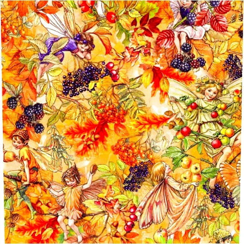 TIMELESS TREASURES Michael Miller Flower Fairies of The Autumn DDC11522 Safron Very Berry Fairy Fabric