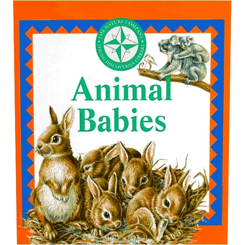 Claire Craig Animal Babies (Nature Company Discoveries Libraries)