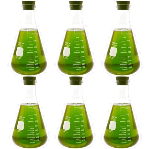 Corning Pyrex #4980-1L, 1000ml Narrow Mouth Erlenmeyer Flask with Rubber Stopper (Pack of 6)
