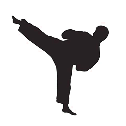 Ranger Products Karate Martial Arts Taekwondo Kung Fu Vinyl Decal Window Sticker Car Wall Kick, Die cut vinyl decal for windows, cars, trucks, tool boxes, laptops, MacBook - virtually any hard, smooth surface
