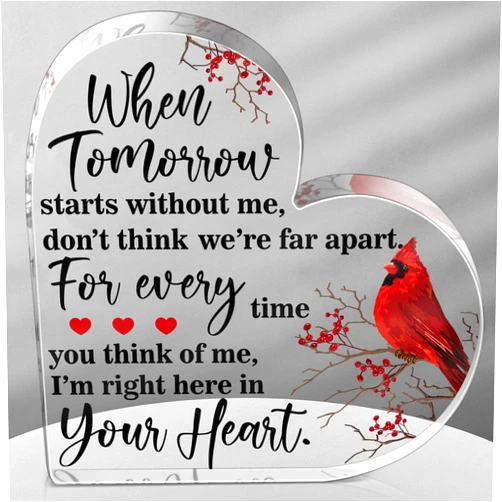 Yulejo Red Cardinal Gifts Sympathy Gifts Memorial Gift for Loss of Loved One Sympathy Acrylic Glass Heart Memorial Present Table Centerpieces Remembrance Decor Christmas Condolence (Novelty Style)