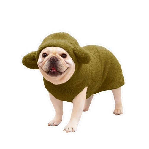 Haloumoning Pet Dog Clothes Cute Bear Fleece Hoodie Winter Puppy Sweater Soft Thickening Warm Outerwear for Dogs