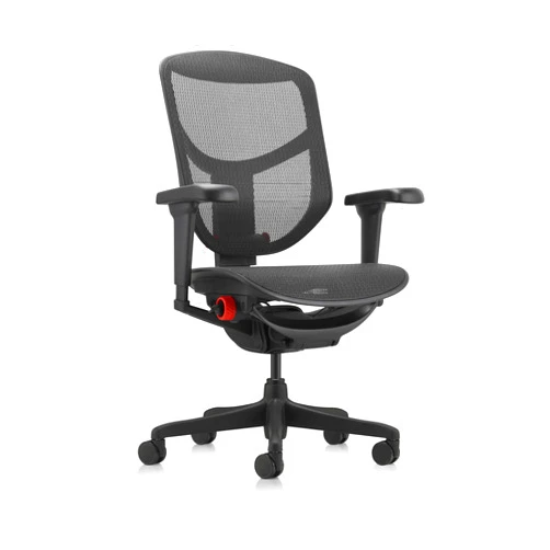 Eurotech Ergohuman Quantum Ultra Mid Back Ergonomic Office Chair with Lumbar Support, Adjustable Mesh Desk Chair for Back Pain Relief, Black