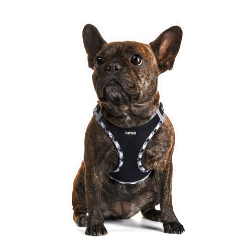 AMTOR Dog Harness with Leash Set,No Pull Adjustable Reflective Step-in Puppy Harness with Padded Vest for Extra-Small/Small Medium Large Dogs and Cats