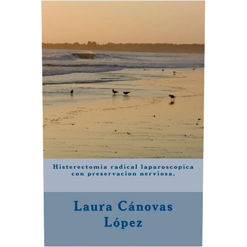 Spanish Edition by Dra. Laura Cánovas López (Author), José Ramón Rodríguez Hernández (Author), Aníbal Nieto Díaz (Author), María Luisa Sánchez Ferrer (Author), Patricia Pastor Pérez (Author), Sergio Juan Cánovas López (Author), Eloy Cánovas Baños (Author), Guillermo Gómez Gómez (Author), Jose Félix Escudero Bregante (Author), Cristobal Moreno Alarcón (Author) & 7 more Histerectomia radical laparoscopica con preservacion nerviosa.: Ginecología. (Spanish Edition)