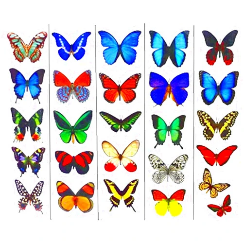 Butterfly Utopia Colorful Temporary Butterfly Tattoos - 5 Sheets - by Butterfly Utopia