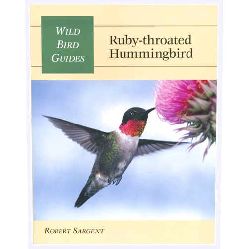 Robert Sargent Ruby-Throated Hummingbird