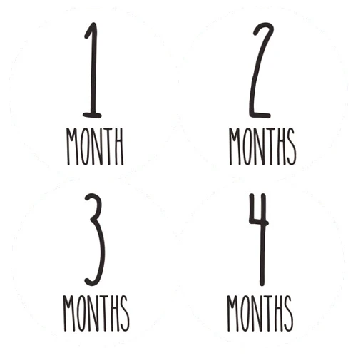 Months In Motion Baby Monthly Stickers | Infant Milestone Stickers | Newborn Stickers | Month Stickers for Girl or Boy | Gender Neutral Stickers | Newborn Monthly Milestone Stickers (Set of 24)