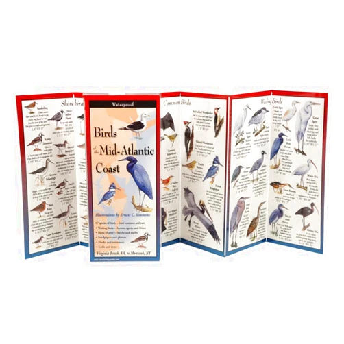 Ernest Simmons Birds of the Mid-Atlantic Coast: Folding Guide (Foldingguides)