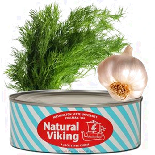 Washington State University WSU Creamery Dill Garlic Cheese 30oz can