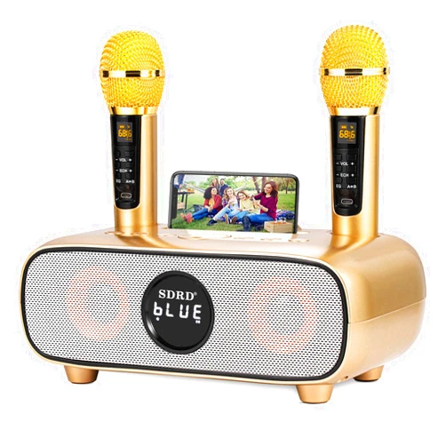 DLARA Karaoke Machine for Adults and Kids,Portable Bluetooth 2 Wireless Karaoke Microphone with Holder/USB/TF Card/AUX-in, PA Speaker System for Home Party, Picnic,Car,Outdoor/Indoor