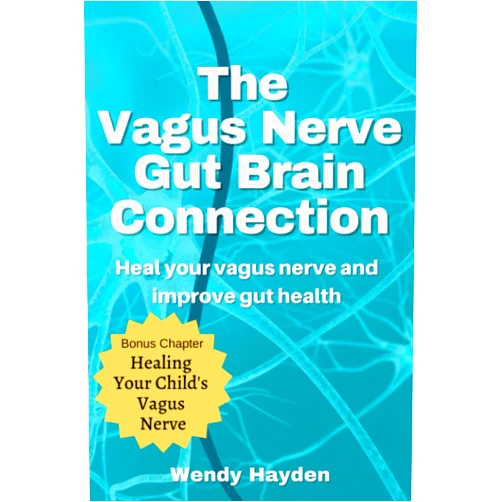 Wendy Hayden The Vagus Nerve Gut Brain Connection: Heal Your Vagus Nerve and Improve Gut Health