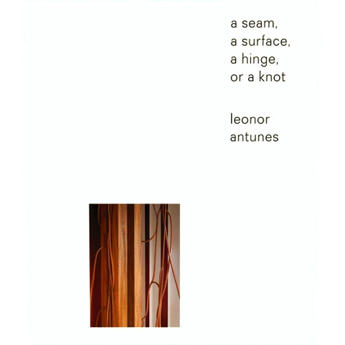 By Joao Ribas (Editor) Leonor Antunes: a seam, a surface, a hinge, or a knot (Sternberg)