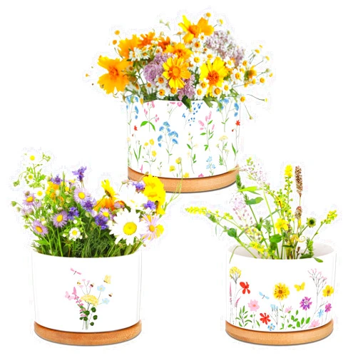 Mimorou 3 Pcs Wildflower Decor Gift for Women Ceramic Succulent Pots with Bamboo Tray for Spring Office Home Farm House Kitchen Decorations (No Plants Included)