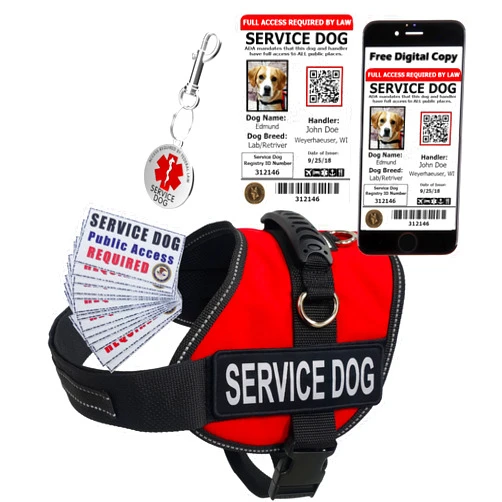 ActiveDogs.com ActiveDogs Customized Dog Kit with Vest, Tags, ID Card + Red Service Dog Vest | Small 19