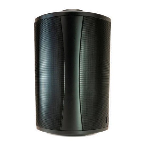 Definitive Technology AW6500 Outdoor Speaker - 6.5-inch Woofer, 200 Watts, Built for Extreme Weather, Single, Black