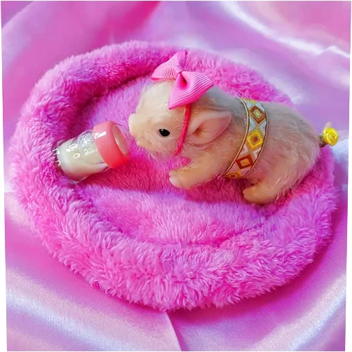 Idoreborn 5 Inches Mini Full Silicone Piglet Lifelike Animal Pig Doll Miniature Reborn, Soft Cute Piggy Gift for Kids Christmas Birthday Art Doll Collection (White Vicky)
