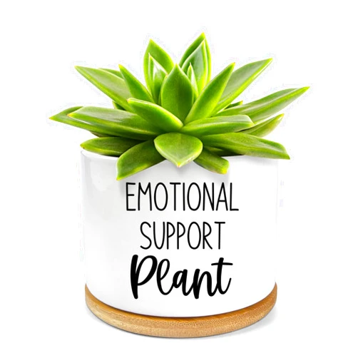 PWHINGN Emotional Support Plant Pot - 3.5 inch Ceramic Succulent Planter Pots, Funny Plant Pots Office Windowsill Aloe Vera Plants Pots Gifts s for Women Mom Grandma Plant Lovers (Not Plants)