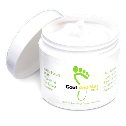 Gout and You Relief Cream for Joint Discomfort, Flare-Ups, Tendon - Fast Acting Muscle Ache Relieving Rub with Arnica/Ilex Leaf Extract, Aloe Vera and Tea Tree Oil