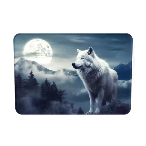 VALCLA Outdoor Entry Mat, The Moon and The White Wolf Printed Welcome Mat, Suitable for Laundry Room, Bathroom, Living Room, Garage, Office, Front Desk -16x24in