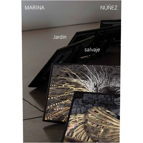 Spanish Edition by Teresa Arozena (Photographer), Lambe & Nieto (Translator), Marina Núñez (Artist), Yolanda Peralta (Contributor), Javier Moscoso (Contributor) & 1 more Jardín Salvaje: Marina Núñez