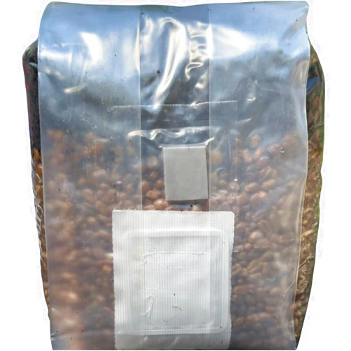 MushroomSpawnStore.com Mushroom Grow Kit - All in One Mushroom Grow Bags (Pack of 1)