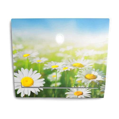 MIGHTY SKINS MightySkins Skin Compatible with Alienware X14 (2022) Full Wrap Kit - Field of Daisies | Protective, Durable, and Unique Vinyl Decal wrap Cover | Easy to Apply & Change Styles | Made in The USA