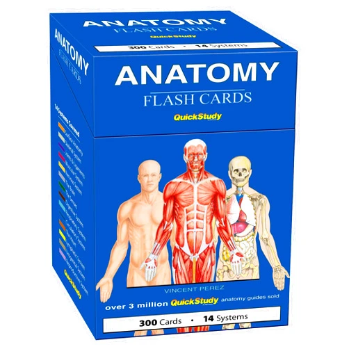 Vincent Perez Anatomy Flash Cards: a QuickStudy Reference & Study Tool