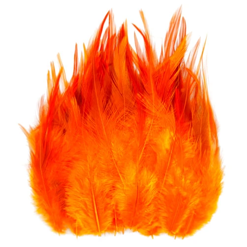 FBIRDY 200pcs Orange Rooster Saddle Hackle Feathers for Crafts 5-7 Inch Loose Feathers Christmas Decorations Earrings Jewelry Making Dream Catcher Decor (200pcs-Orange)