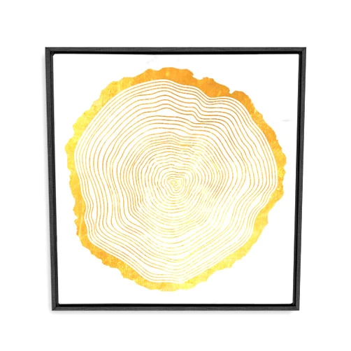 SIGNFORD Framed Canvas Home Artwork Decoration Annual Ring Canvas Wall Art for Living Room, Bedroom - 16x16 inches