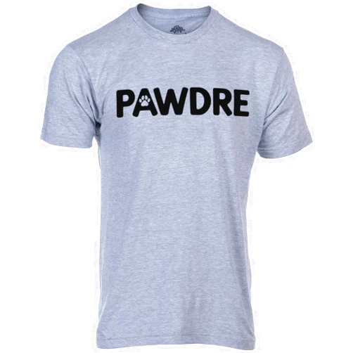 Ann Arbor T-shirt Co. Funny T-Shirt Gifts for Dad | Fathers Day Humor Daddy Joke Regalos Tee Shirts for Men