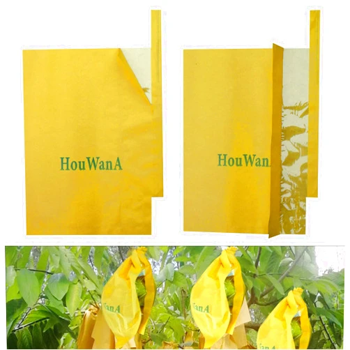 HouWanA Fruit Protection Bags 100pcs Cover Bags 9X11.8inch, for Fruit Trees, Orchard, Trees, Frost, Plants There are Windows to See Inside