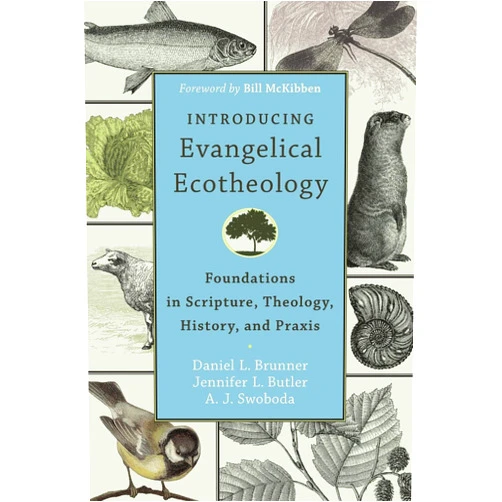 By Daniel L. Brunner (Author), Jennifer L. Butler (Author), A. J. Swoboda (Author), Bill McKibben (Foreword) & 1 more Introducing Evangelical Ecotheology: Foundations in Scripture, Theology, History, and Praxis
