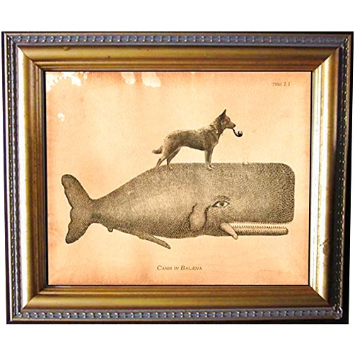 Handmade Australian Cattle Dog Riding Whale Vintage Collage Semi-Matte Photo Print Tea Stained Background dog art dog gift for dog mom gift for her dog novelty gift wall decor art print