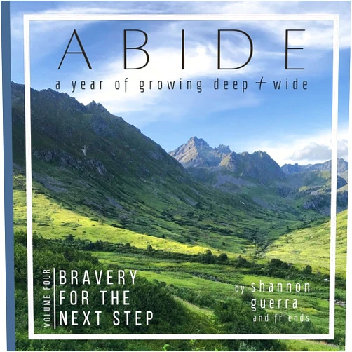 Shannon Guerra,Patty Scott,Renee Petty Bravery for the Next Step: A Year of Growing Deep and Wide (Abide)
